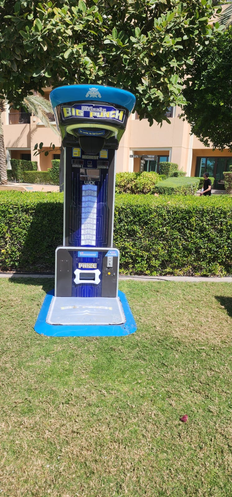 boxing arcade machine